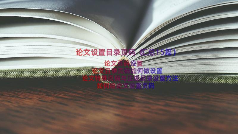 论文设置目录页码（汇总15篇）