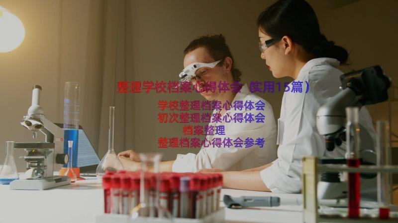 整理学校档案心得体会（实用15篇）