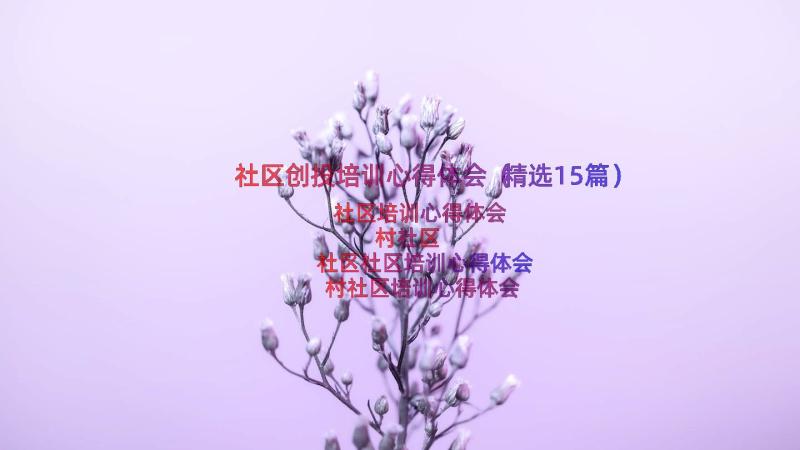 社区创投培训心得体会（精选15篇）