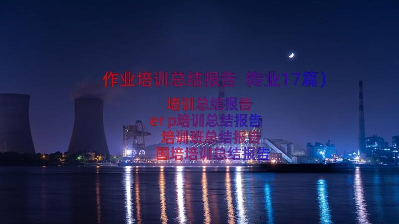 作业培训总结报告（专业17篇）