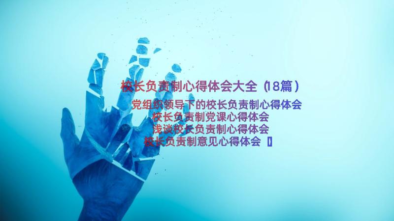 校长负责制心得体会大全（18篇）