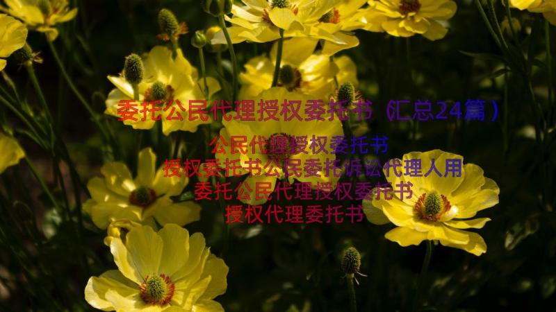 委托公民代理授权委托书（汇总24篇）