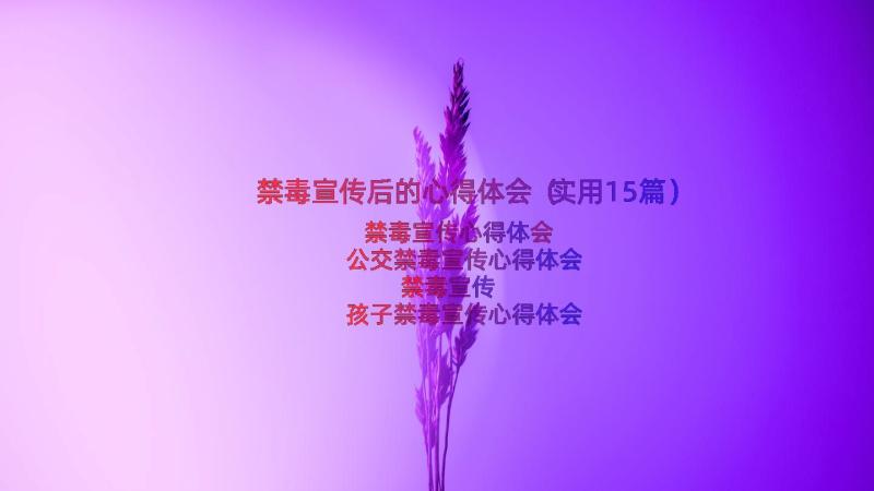 禁毒宣传后的心得体会（实用15篇）