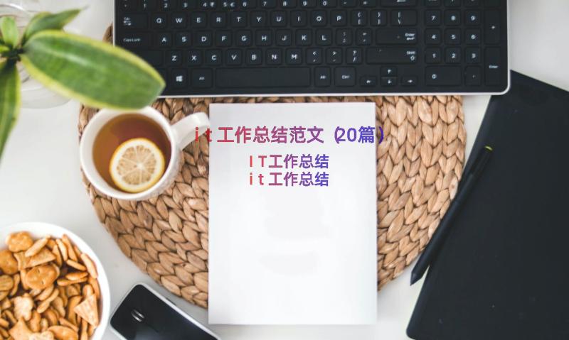 it工作总结范文（20篇）