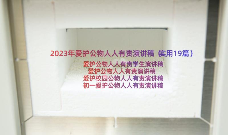 2023年爱护公物人人有责演讲稿（实用19篇）