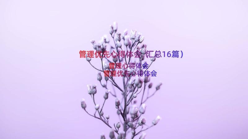 管理优先心得体会（汇总16篇）