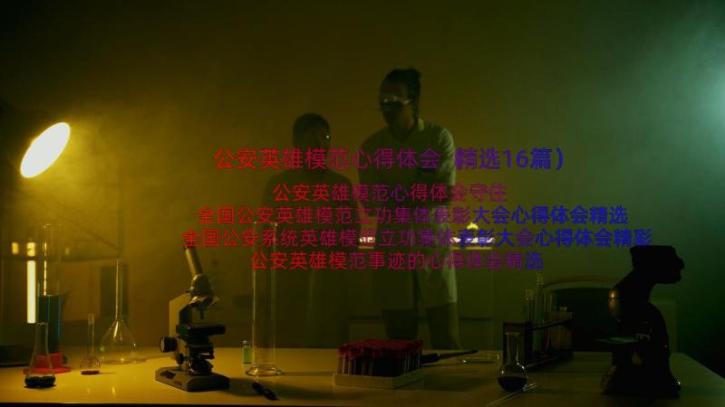 公安英雄模范心得体会（精选16篇）