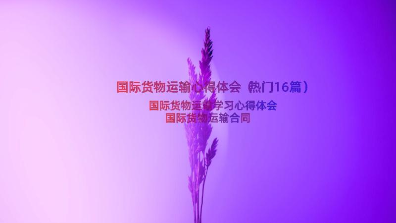 国际货物运输心得体会（热门16篇）