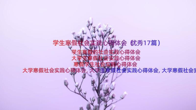 学生寒假社会实践心得体会（优秀17篇）