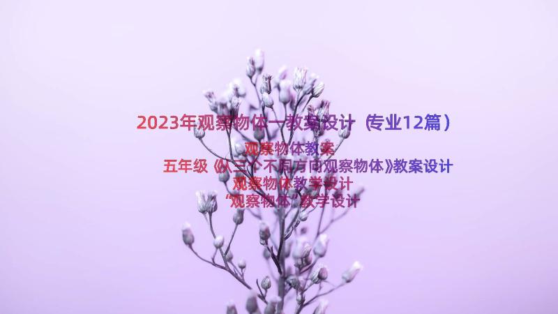 2023年观察物体一教案设计（专业12篇）