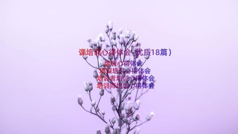 课培训心得体会（优质18篇）