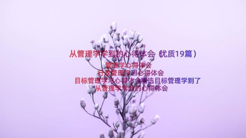 从管理学学到的心得体会（优质19篇）