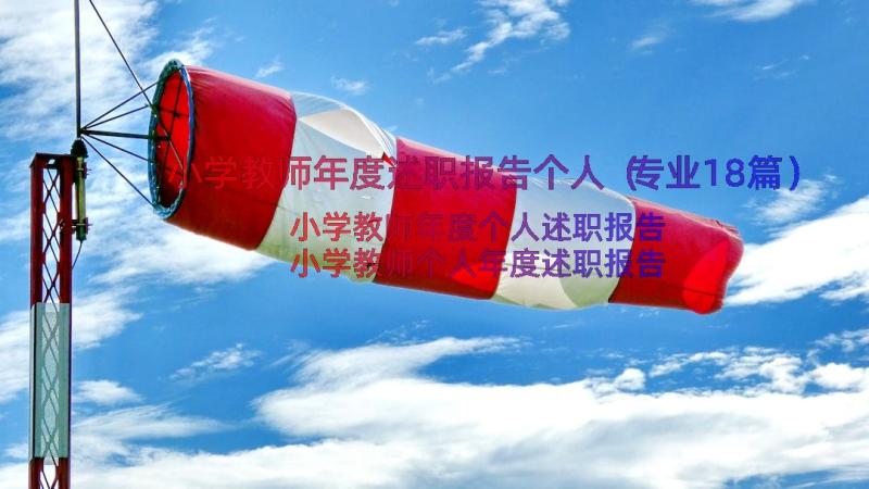 小学教师年度述职报告个人（专业18篇）