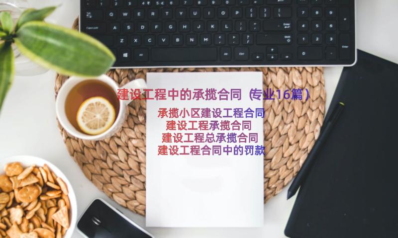 建设工程中的承揽合同（专业16篇）