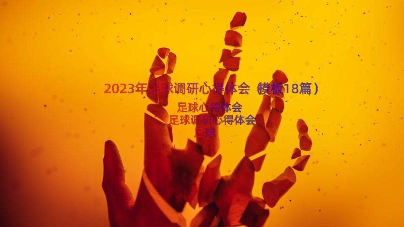 2023年足球调研心得体会（模板18篇）