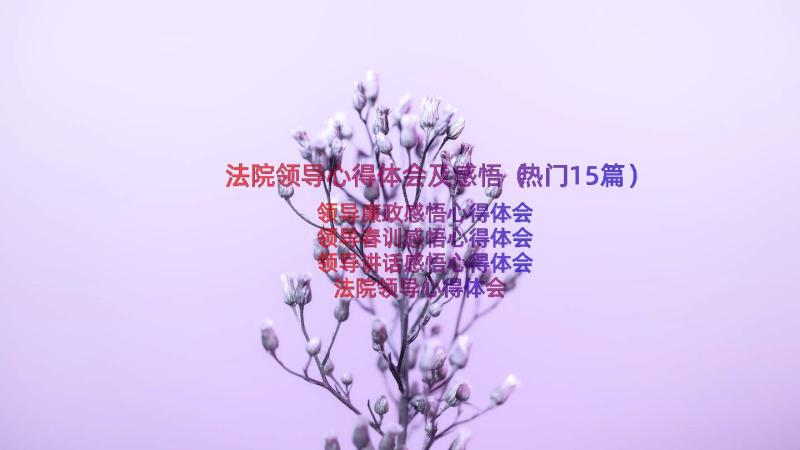 法院领导心得体会及感悟（热门15篇）