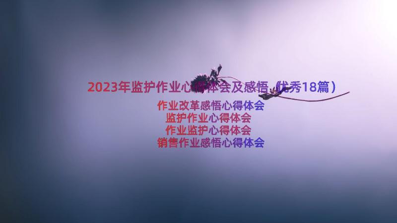 2023年监护作业心得体会及感悟（优秀18篇）