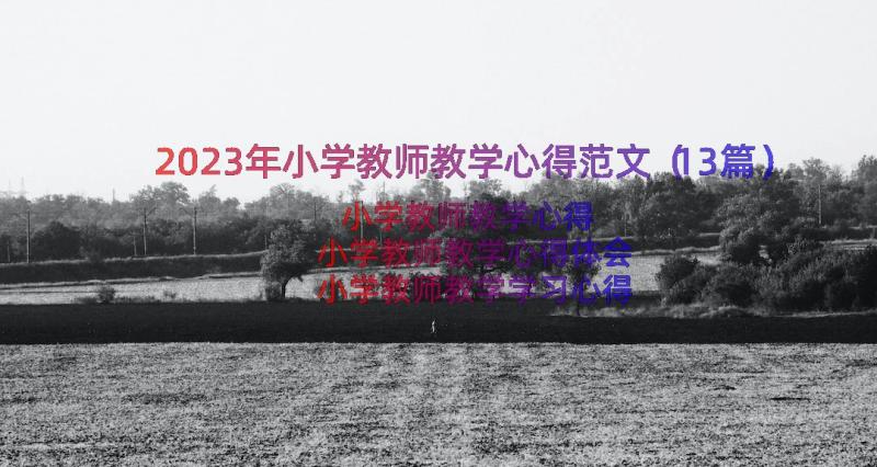 2023年小学教师教学心得范文（13篇）