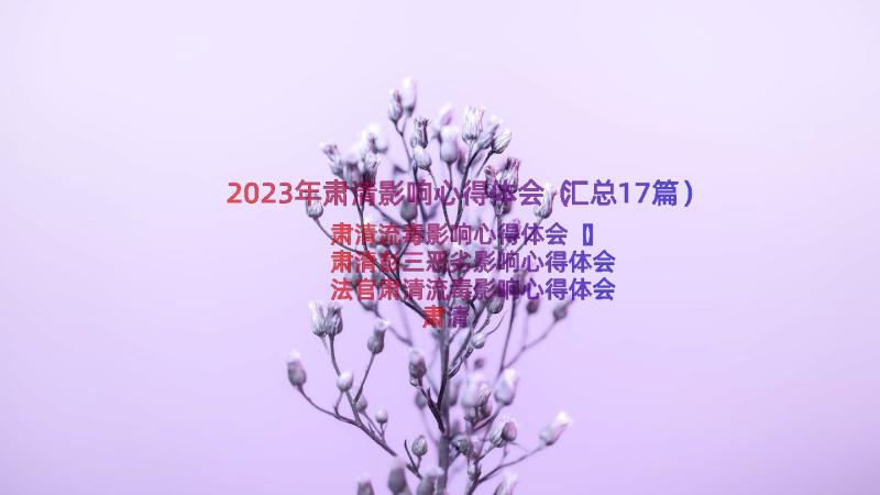 2023年肃清影响心得体会（汇总17篇）