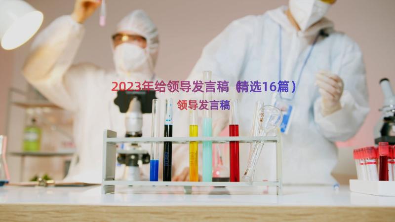 2023年给领导发言稿（精选16篇）