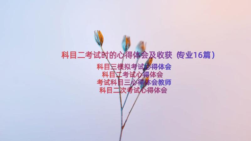 科目二考试时的心得体会及收获（专业16篇）