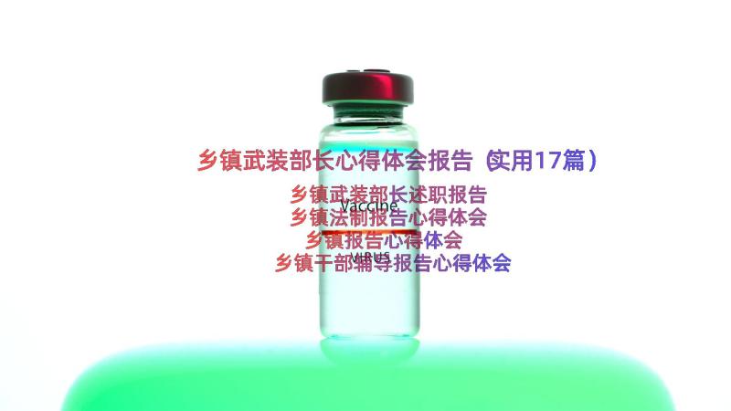 乡镇武装部长心得体会报告（实用17篇）