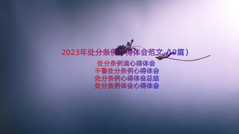 2023年处分条例心得体会范文（19篇）