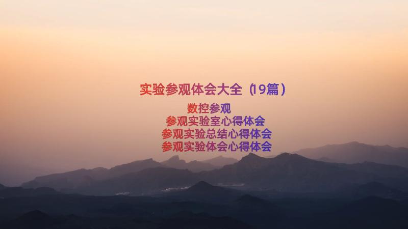 实验参观体会大全（19篇）