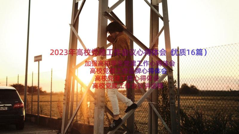 2023年高校党建工作会议心得体会（优质16篇）