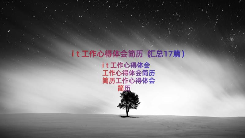 it工作心得体会简历（汇总17篇）