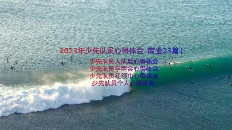 2023年少先队员心得体会（专业23篇）