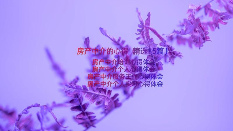 房产中介的心得（精选15篇）