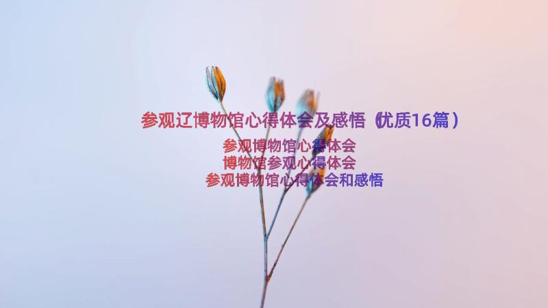 参观辽博物馆心得体会及感悟（优质16篇）