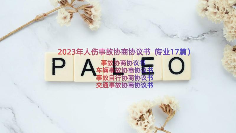 2023年人伤事故协商协议书（专业17篇）