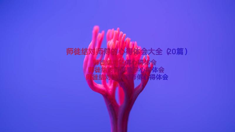 师徒结对师傅的心得体会大全（20篇）