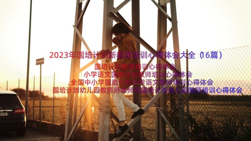 2023年国培计划新教师培训心得体会大全（16篇）