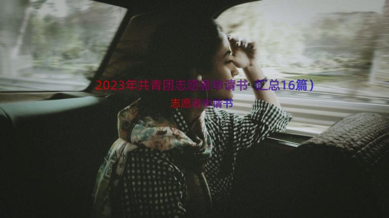 2023年共青团志愿者申请书（汇总16篇）