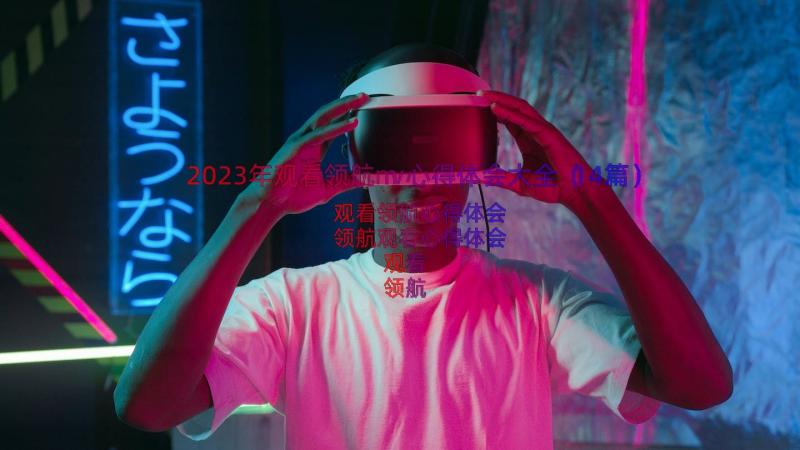 2023年观看领航mv心得体会大全（14篇）