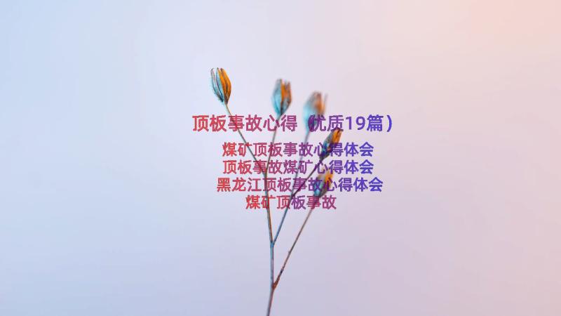 顶板事故心得（优质19篇）