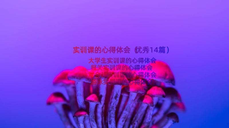 实训课的心得体会（优秀14篇）