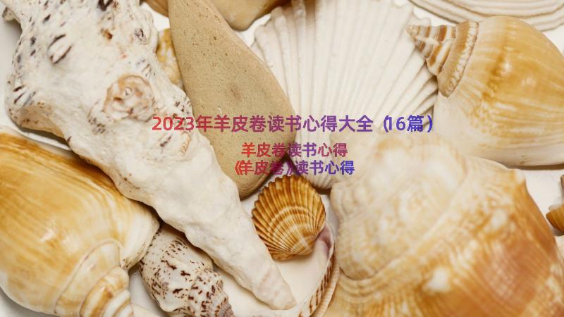 2023年羊皮卷读书心得大全（16篇）