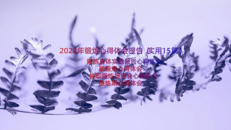 2023年锻炼心得体会报告（实用15篇）