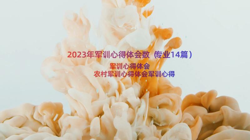 2023年军训心得体会数（专业14篇）