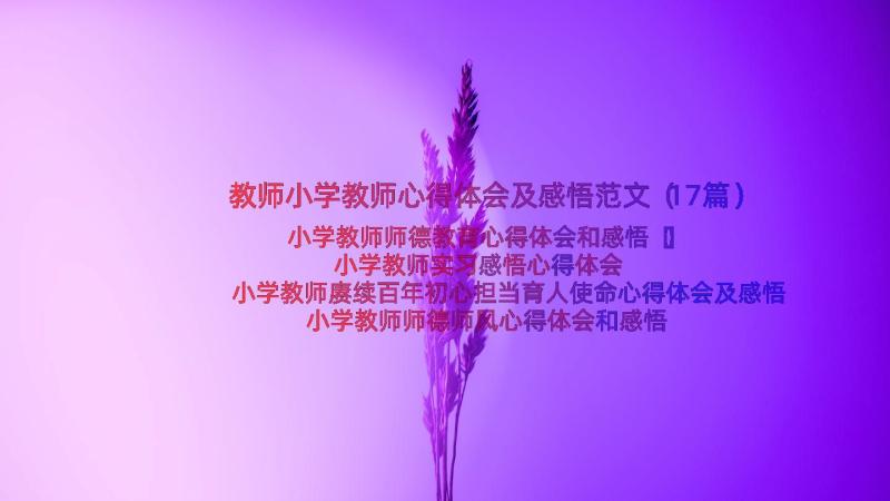 教师小学教师心得体会及感悟范文（17篇）