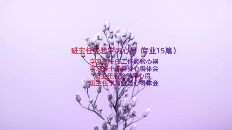 班主任经验学习心得（专业15篇）