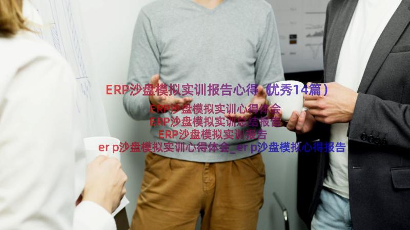 ERP沙盘模拟实训报告心得（优秀14篇）