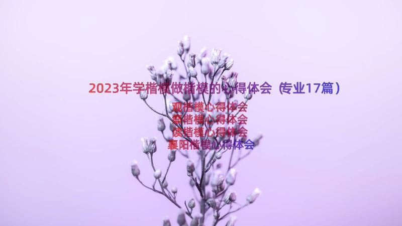 2023年学楷模做楷模的心得体会（专业17篇）