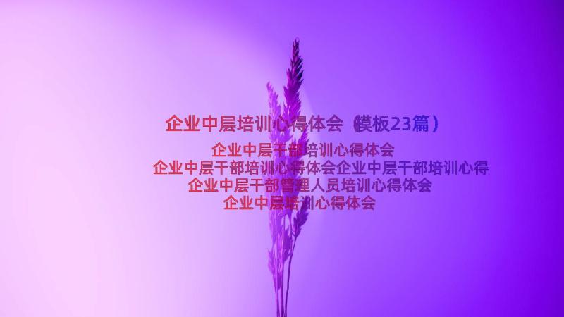 企业中层培训心得体会（模板23篇）