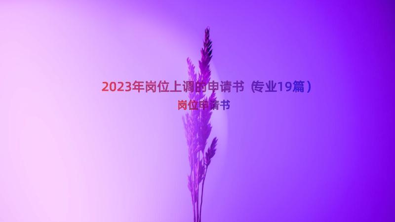 2023年岗位上调的申请书（专业19篇）