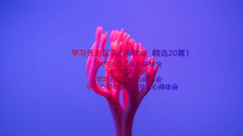 学习先进区队心得体会（精选20篇）